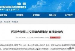 四川大学最新爆料消息,揭秘校园热点事件背后的真相
